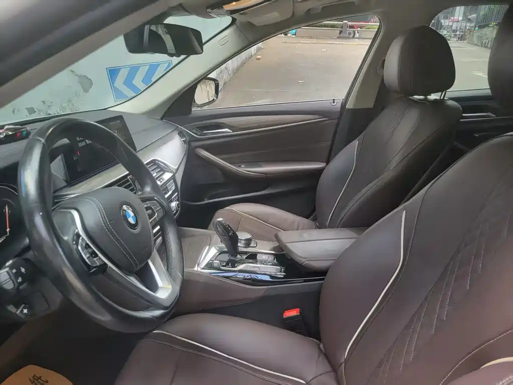 BMW 5 Series New Energy 2019