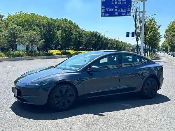 Tesla Model 3 2025