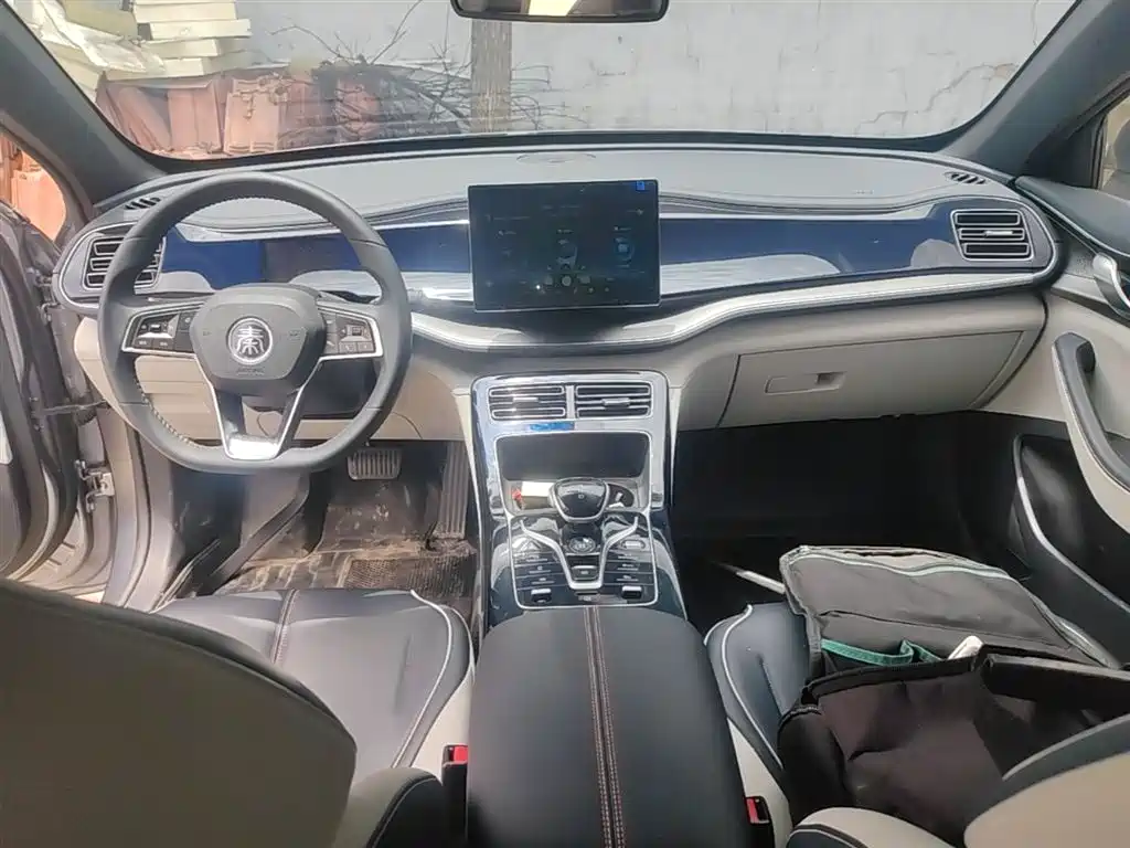 BYD Qin PLUS 2021 — фото 10
