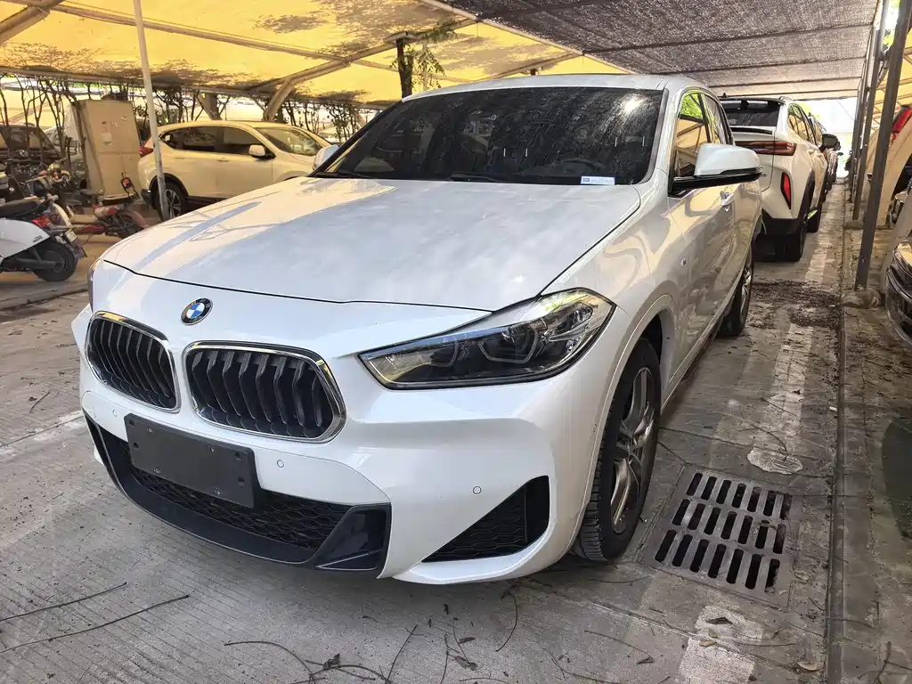 BMW X2 2020 — фото 1