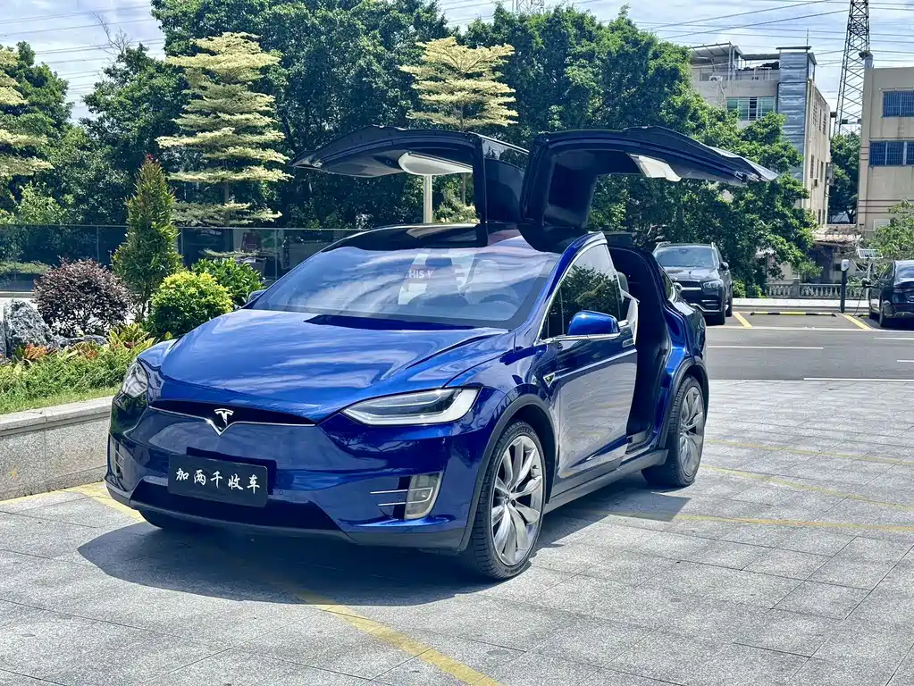 Tesla Model X 2016 — фото 1