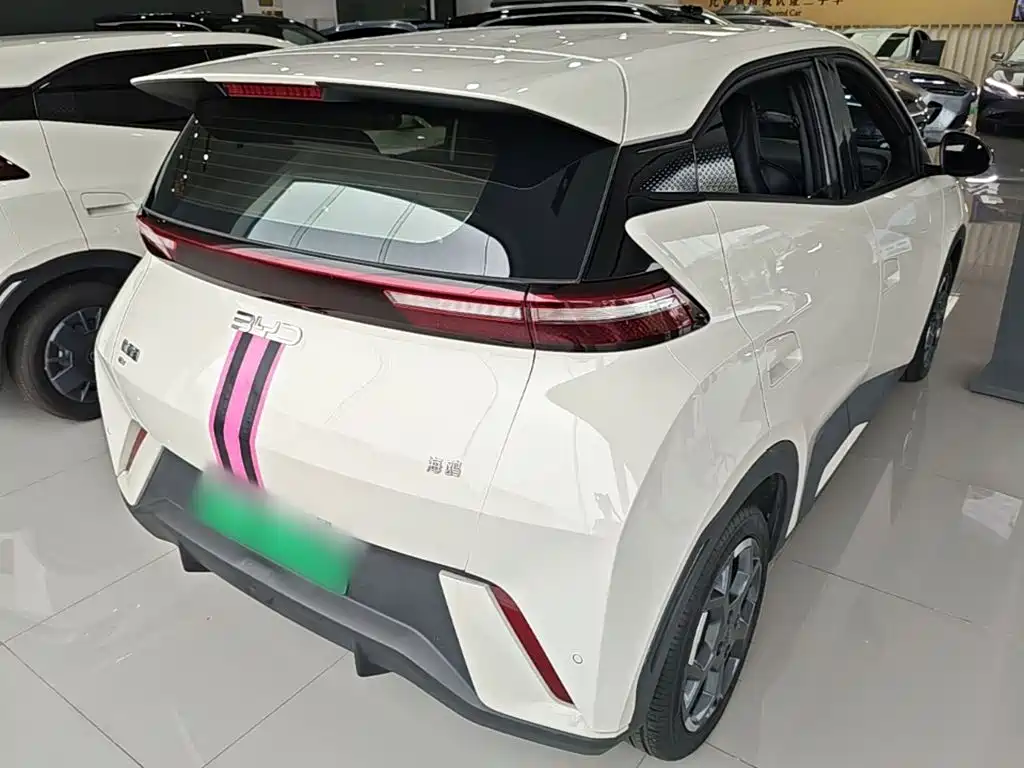 BYD Seagull 2024