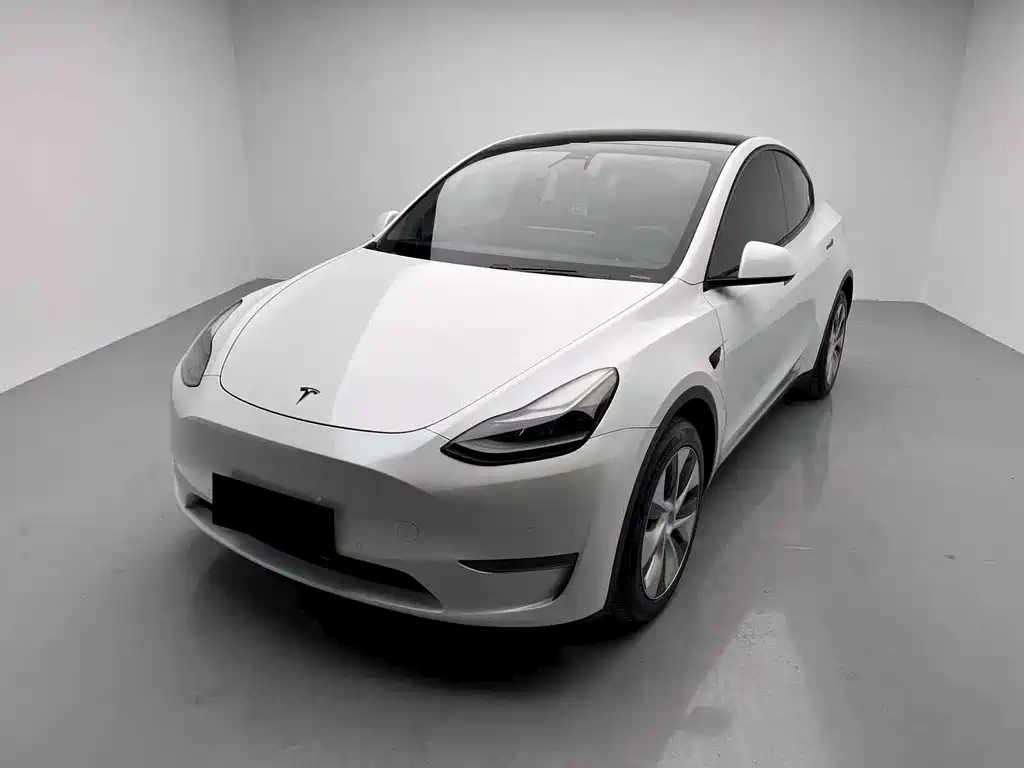 Tesla Model Y 2021 — фото 1