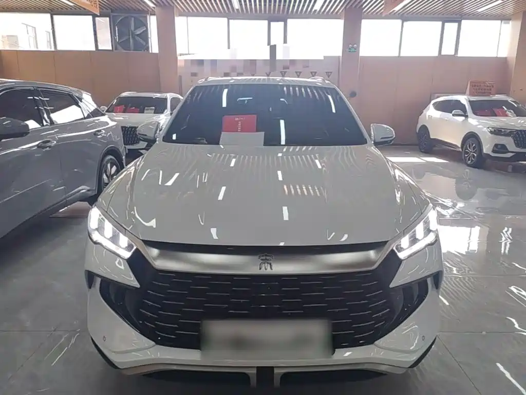 BYD Pro New Energy 2024 — фото 3