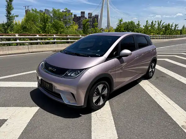 BYD Dolphin 2023