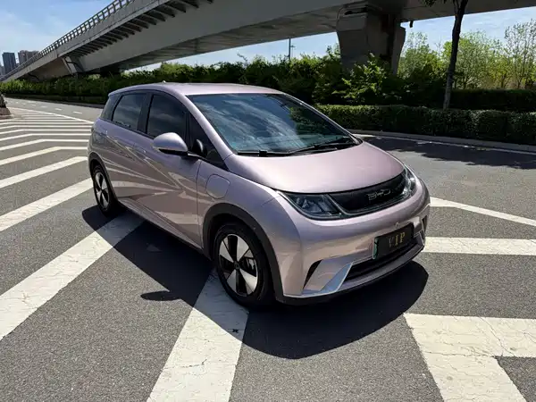 BYD Dolphin 2023