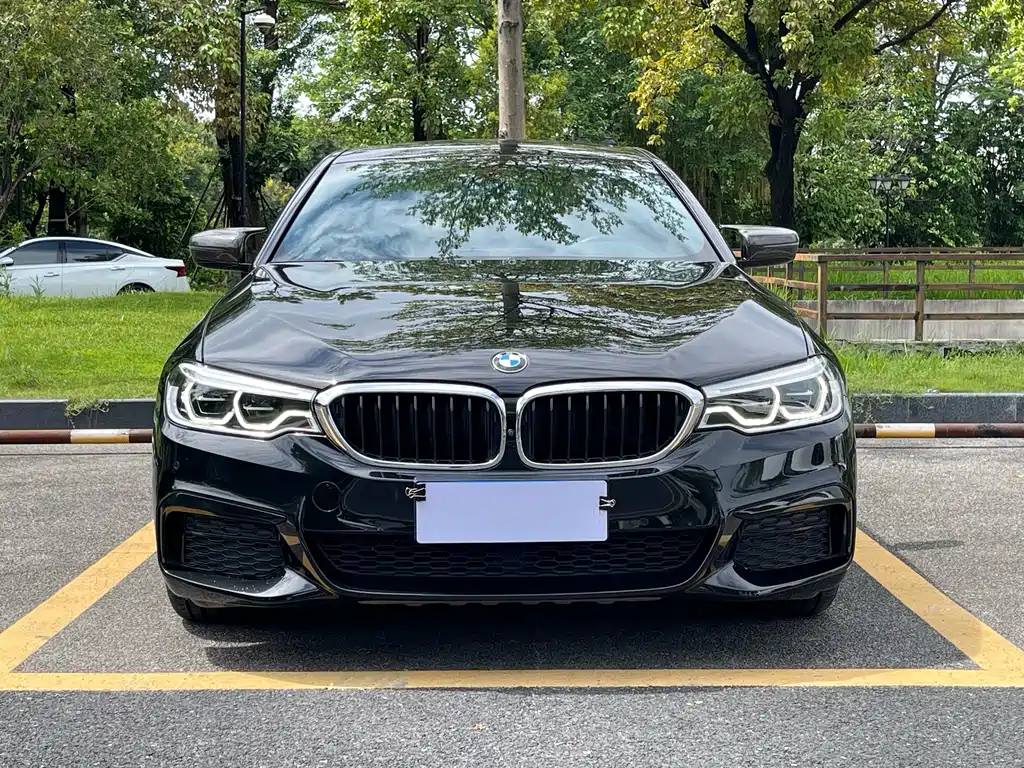BMW 5 Series 2019