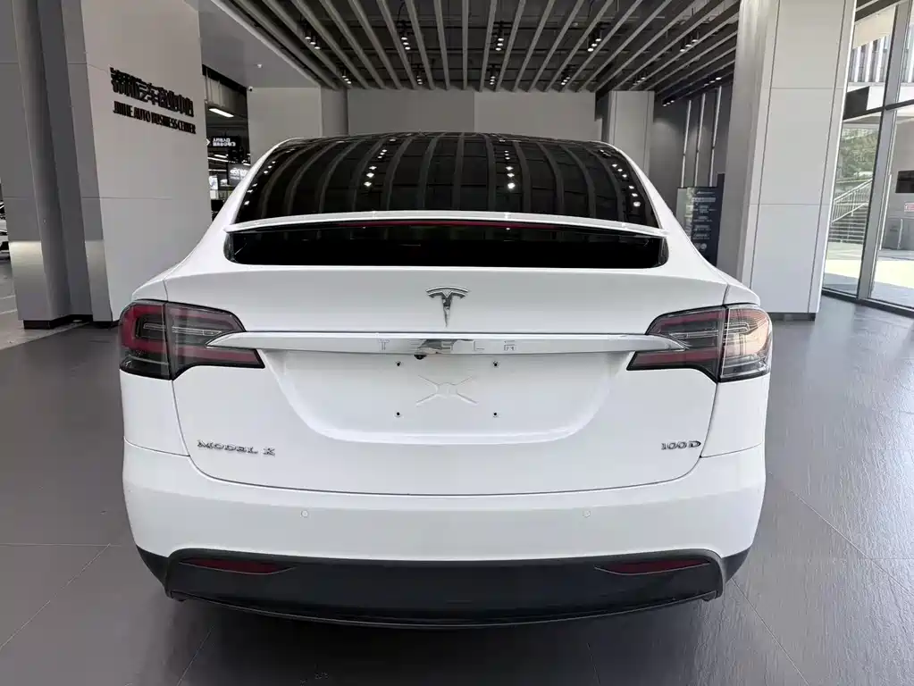 Tesla Model X 2017 — фото 10