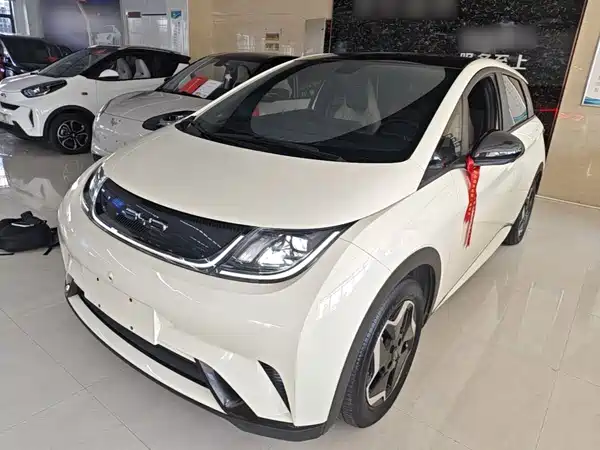 BYD Dolphin 2021