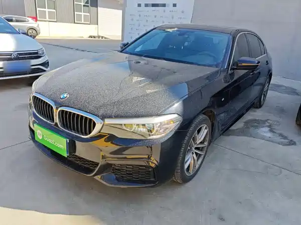 BMW 5 Series 2019