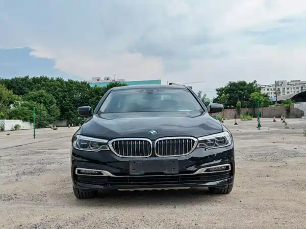 BMW 5 Series New Energy 2018