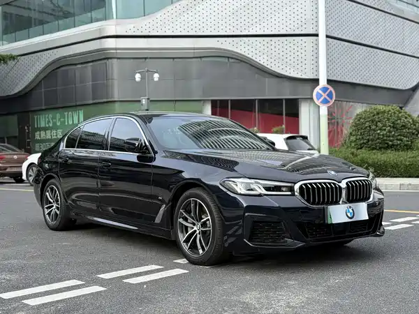 BMW 5 Series New Energy 2021