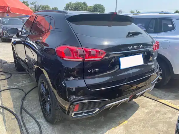 Wey VV5 2020