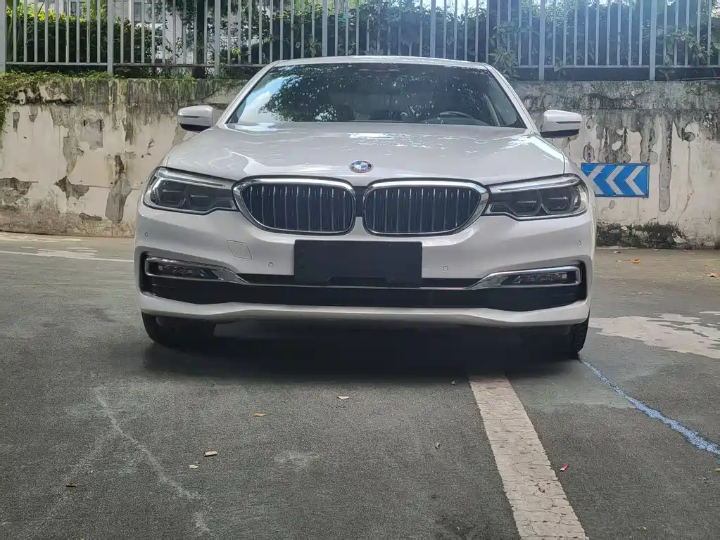 BMW 5 Series New Energy 2019