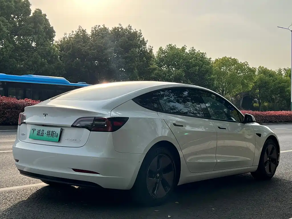 Tesla Model 3 2021 — фото 5
