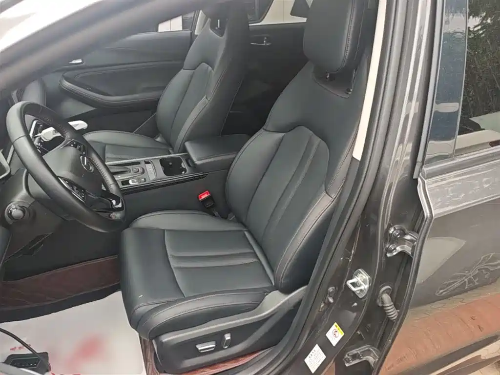 GAC Motor Trumpchi GS4 2021 — фото 15