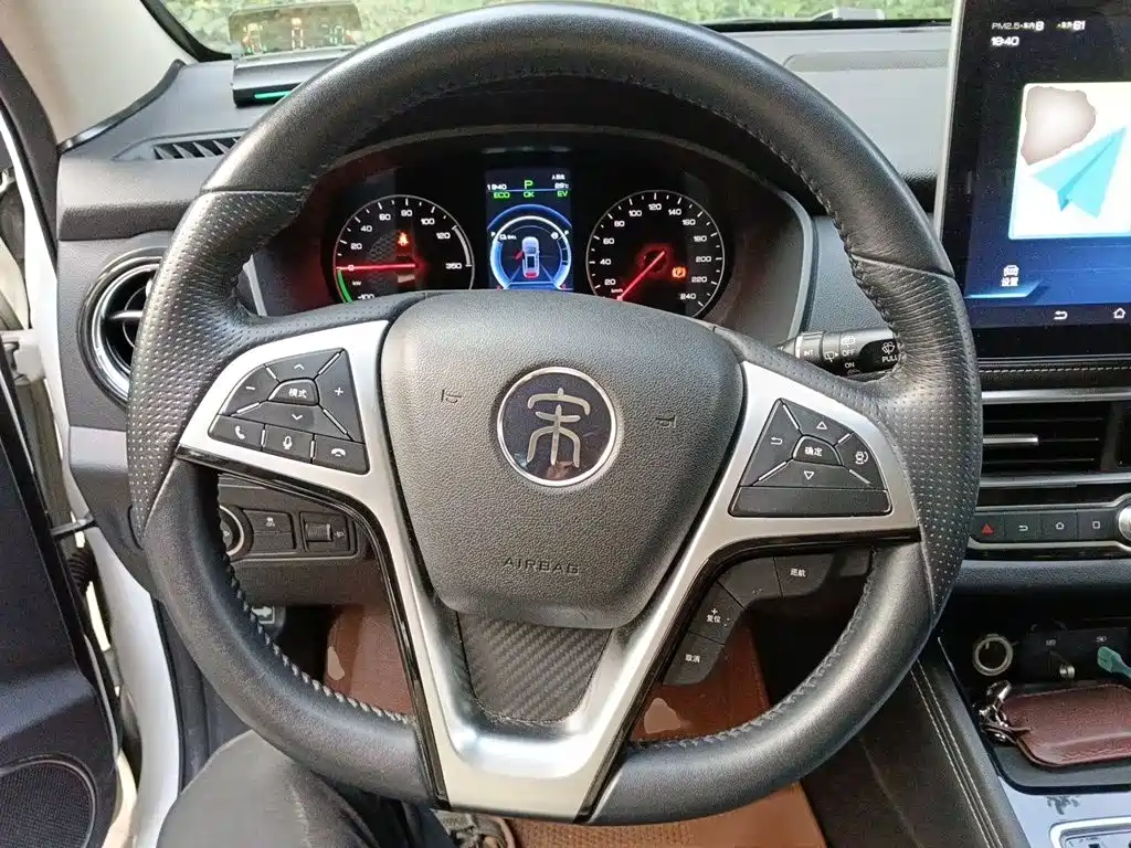 BYD New Energy 2019