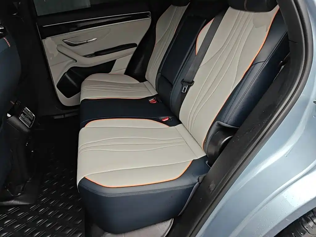 BYD PLUS New Energy 2023 — фото 17