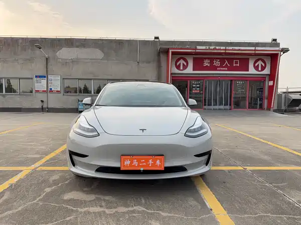 Tesla Model 3 2019
