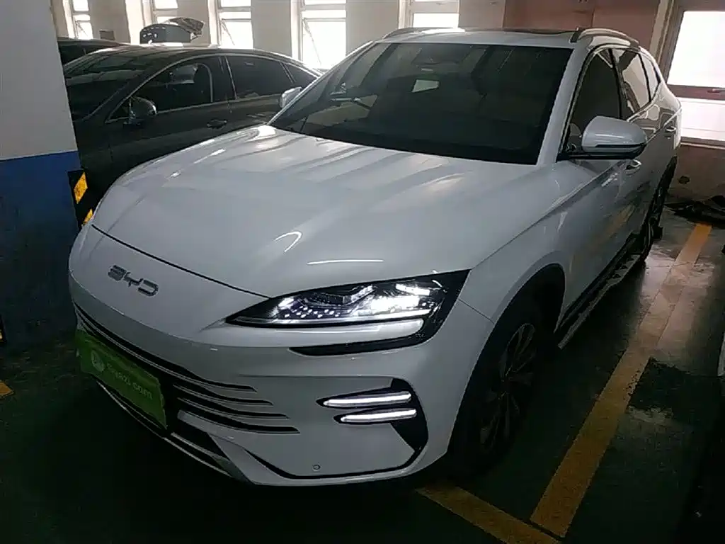 BYD PLUS New Energy 2024 — фото 1