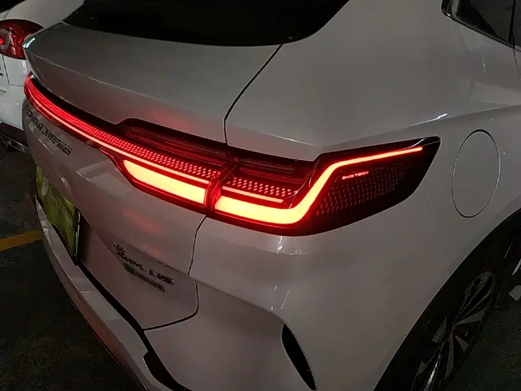 BYD PLUS New Energy 2024 — фото 8