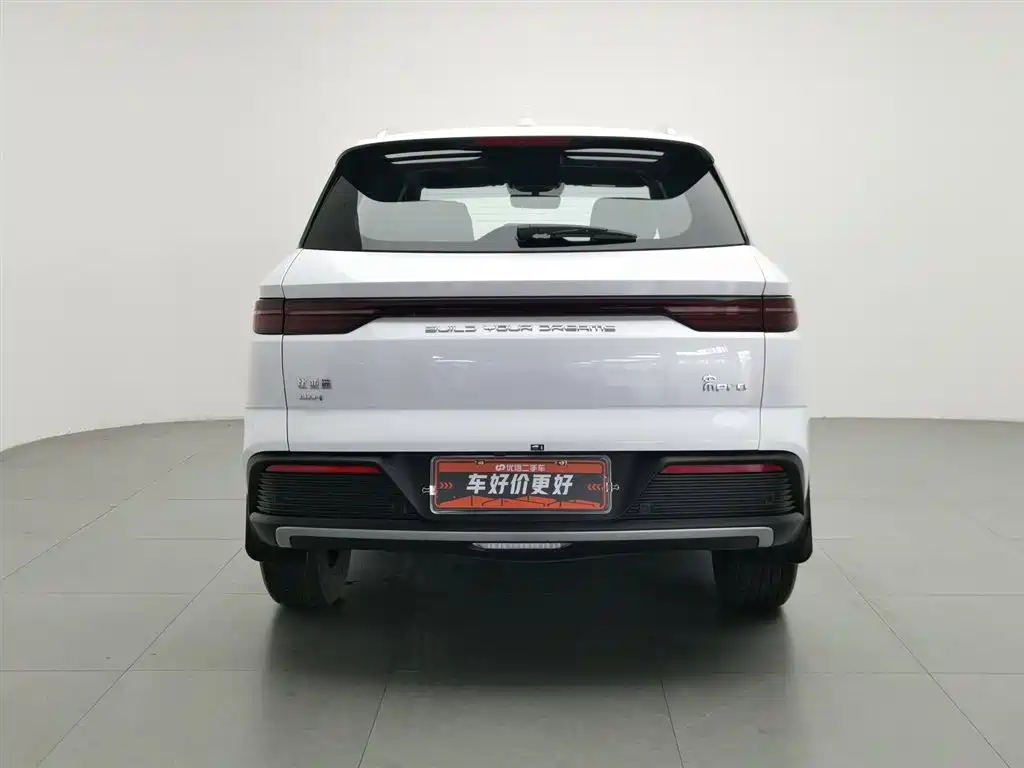 BYD Pro New Energy 2024 — фото 4