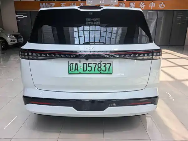 Dongfeng e008 2024