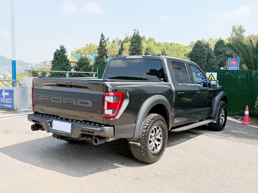Ford F-150 Raptor 2023 — фото 20