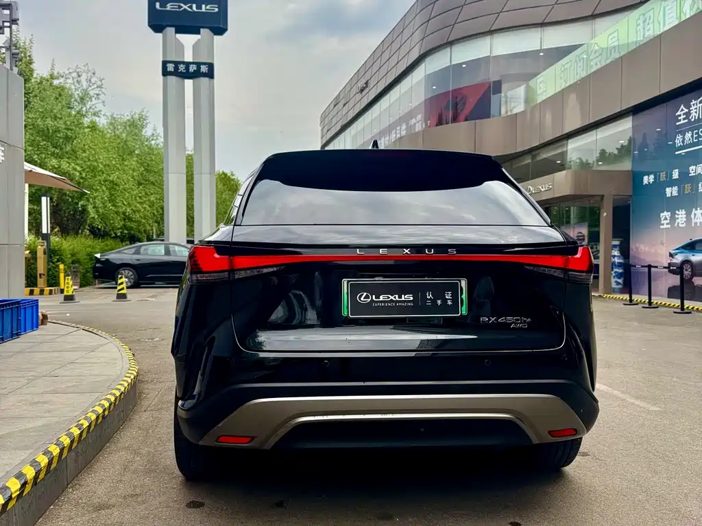 Lexus RX New Energy 2023 — фото 6