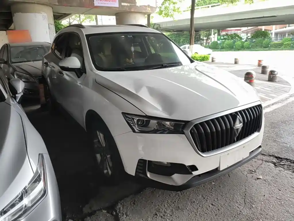 Borgward BX5 2018