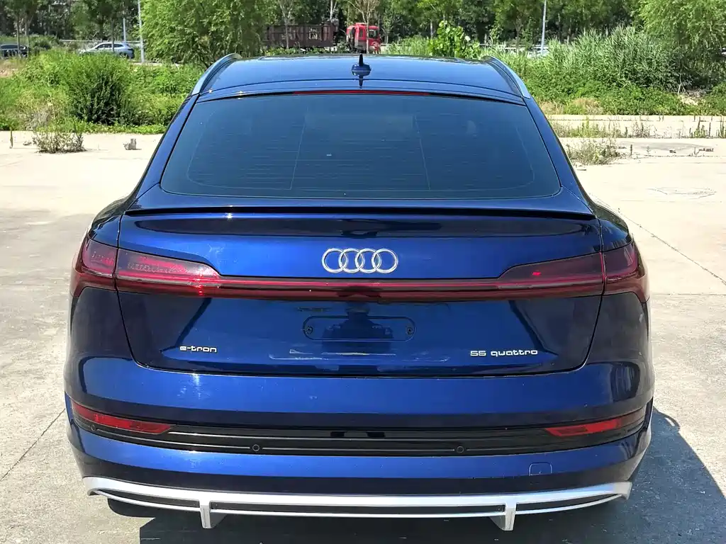 Audi e-tron 2021
