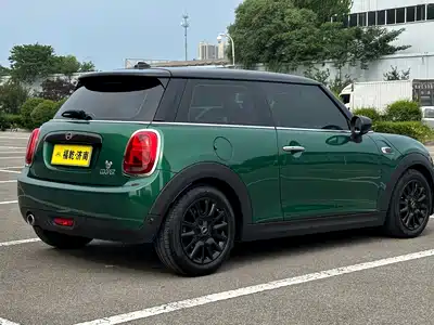 MINI MINI 2021
