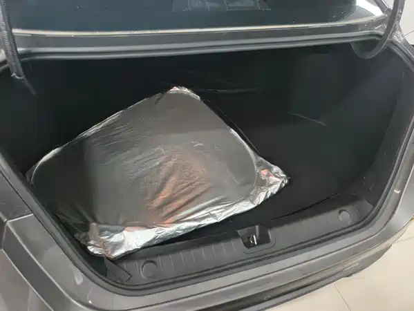 Geely Binrui 2024