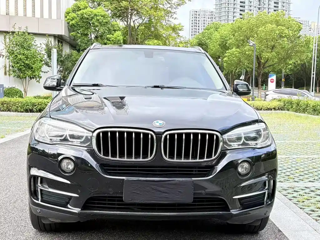 BMW X5 2017 — фото 2