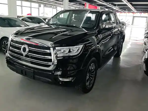 Great Wall Poer 2020