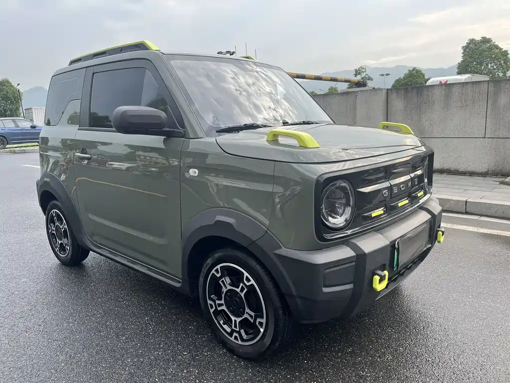 Galaxy Panda 2024