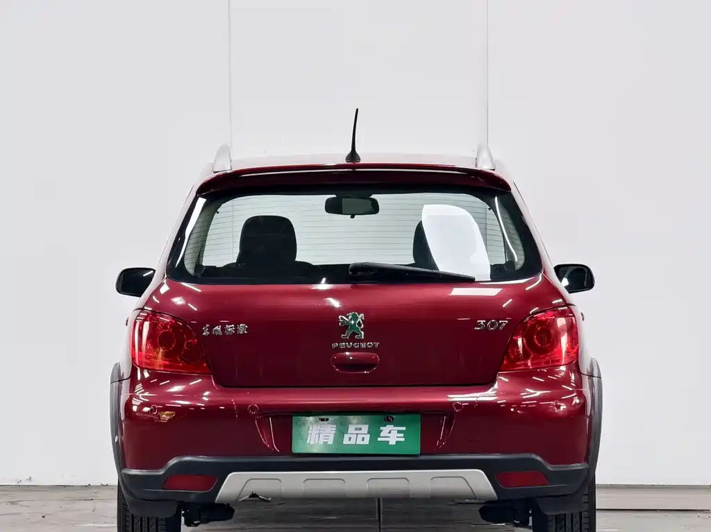 Peugeot 307 2012