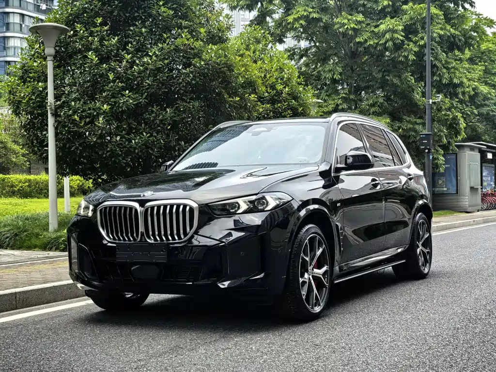 BMW X5 2024