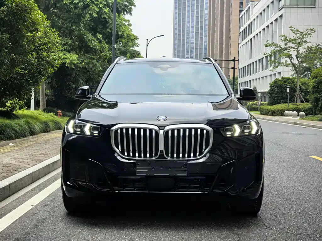 BMW X5 2024