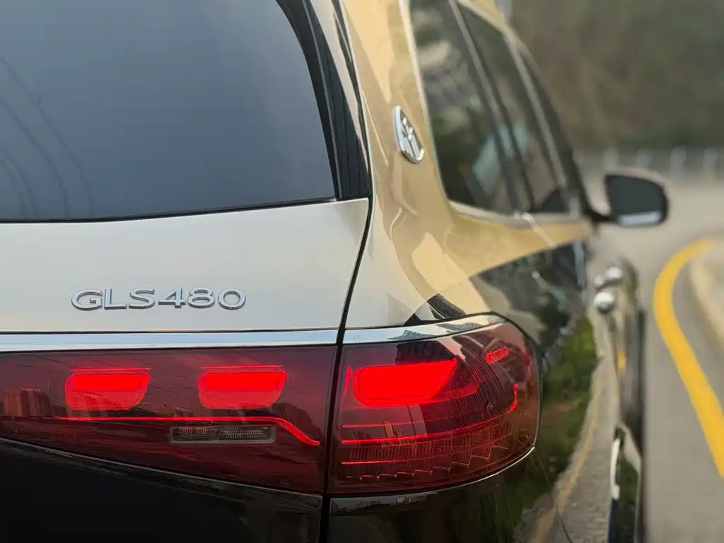 Mercedes-Benz GLS 2025 — фото 16