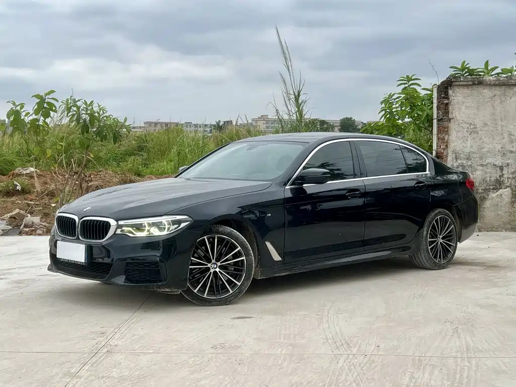 BMW 5 Series 2020 — фото 1