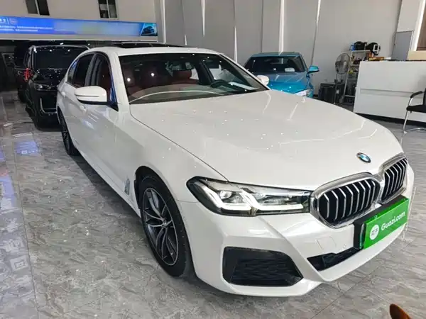 BMW 5 Series New Energy 2021
