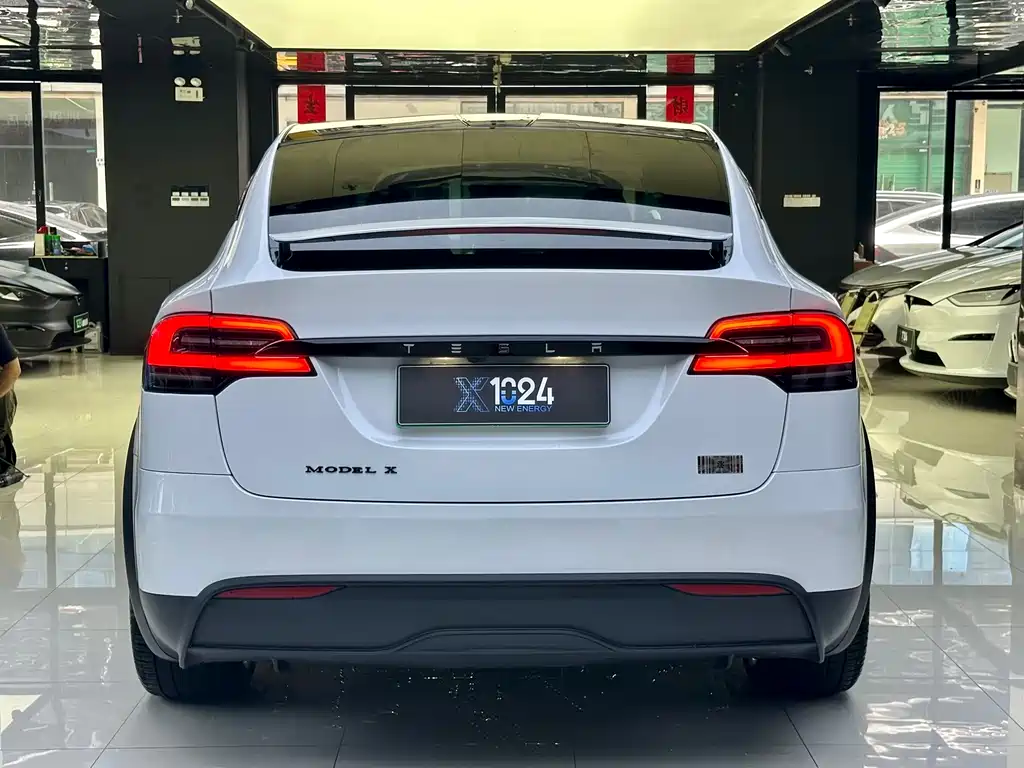Tesla Model X 2023 — фото 5