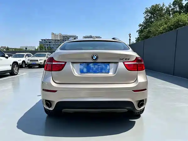 BMW X6 2010