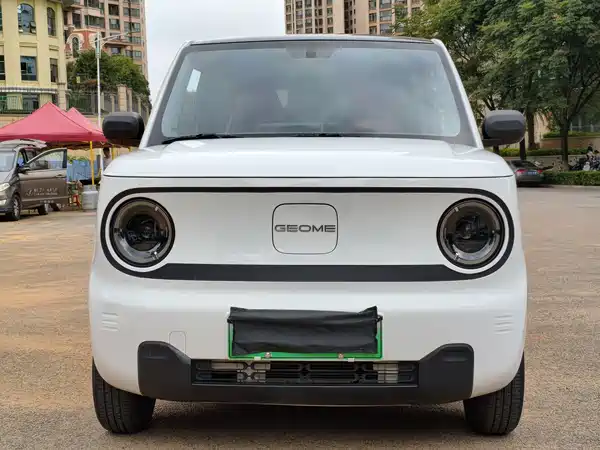 Geely Galaxy Panda 2023