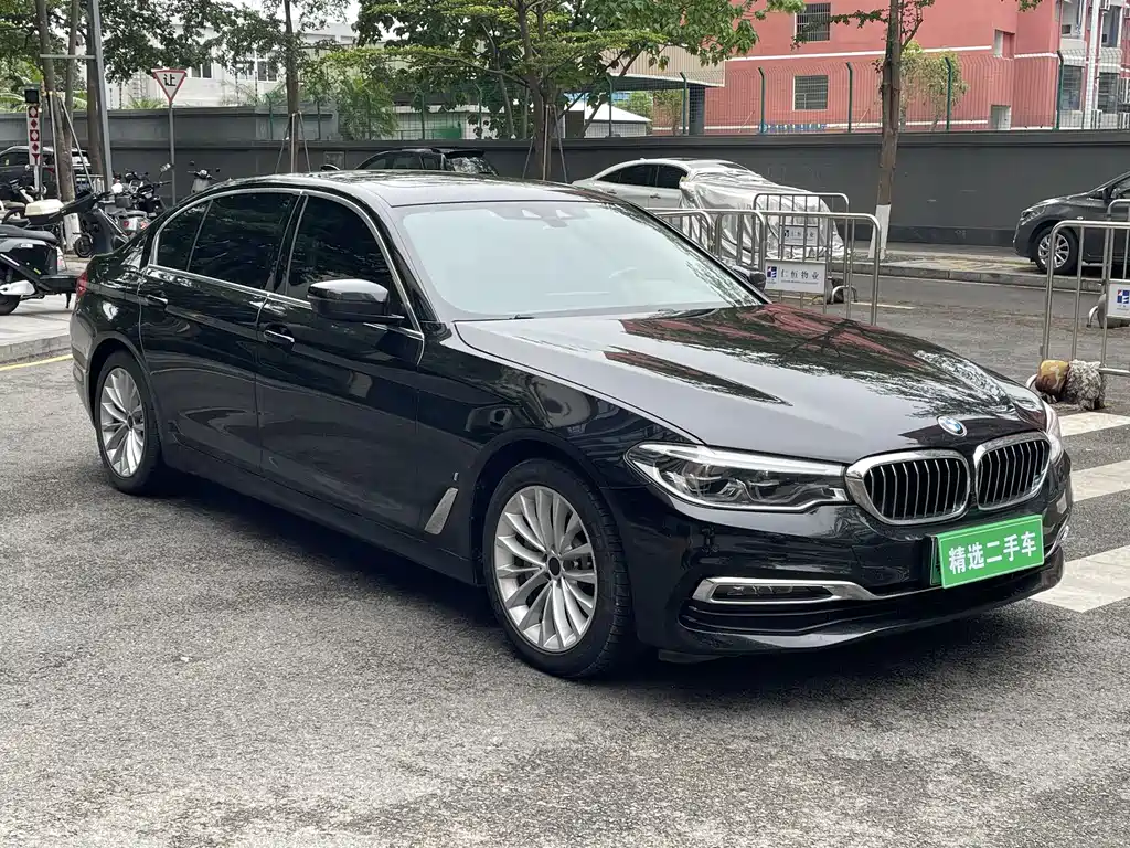 BMW 5 Series New Energy 2019