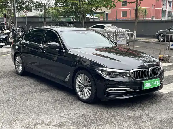 BMW 5 Series New Energy 2019