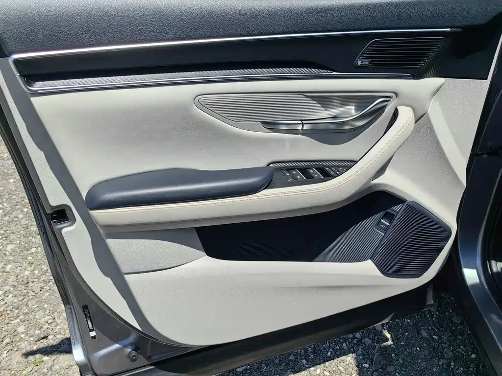 BYD PLUS New Energy 2022 — фото 15