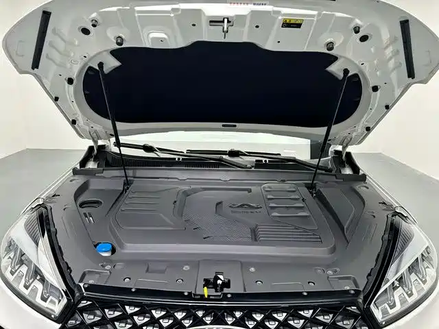 Chery Tiggo 7 2020 — фото 15