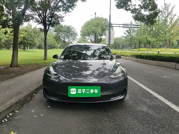 Tesla Model 3 2019